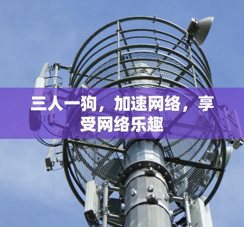 三人一狗,加速网络,享受网络乐趣