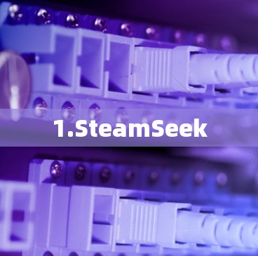 1.SteamSeek