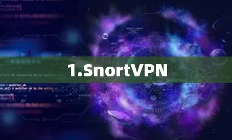 1.SnortVPN
