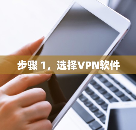 步骤 1,选择VPN软件