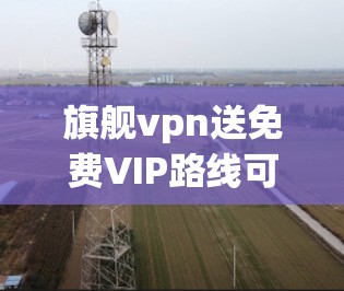 旗舰vpn送免费VIP路线可能指的是某个特定品牌的活动或优惠,具体含义需要结合上下文进行理解。以下是几种可能的解释和建议