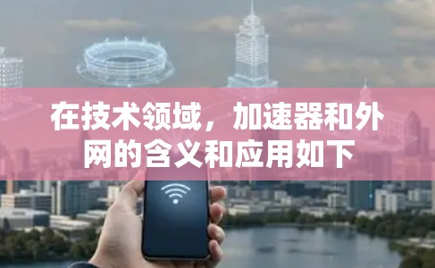 在技术领域,加速器和外网的含义和应用如下