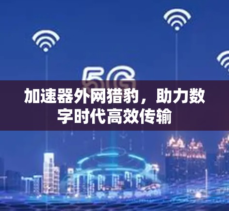 加速器外网猎豹，助力数字时代高效传输