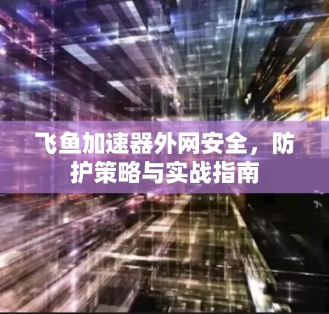 飞鱼加速器外网安全，防护策略与实战指南