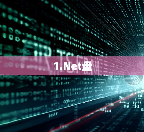 1.Net盘