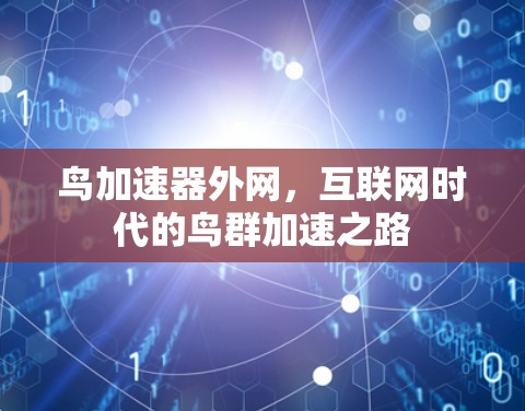 鸟加速器外网,互联网时代的鸟群加速之路 鸟加速器外网,互联网时代的鸟群加速之路