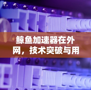 鲸鱼加速器在外网，技术突破与用户体验