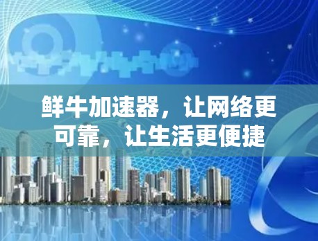 鲜牛加速器，让网络更可靠，让生活更便捷