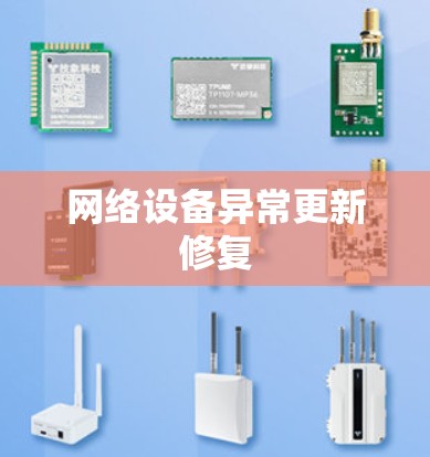 网络设备异常更新修复 网络设备异常更新修复