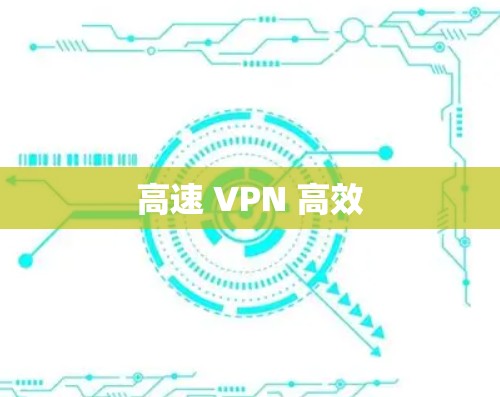 高速 VPN 高效 高速 VPN 高效