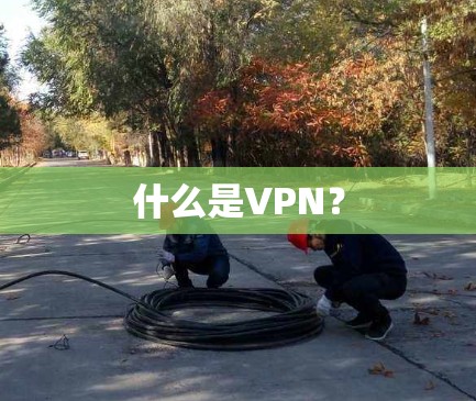 什么是VPN? 什么是VPN?