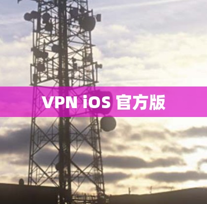 VPN iOS 官方版 VPN iOS 官方版