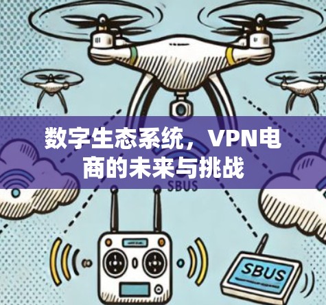 数字生态系统，VPN电商的未来与挑战