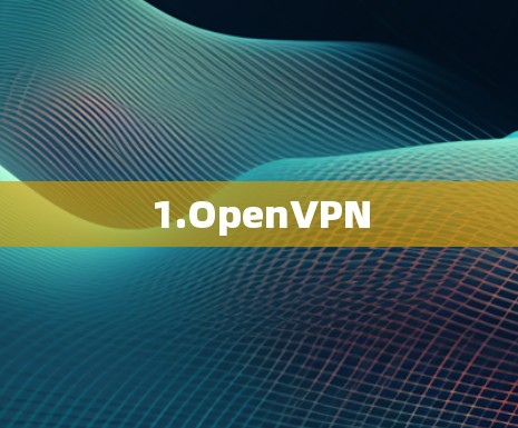 1.OpenVPN 1.OpenVPN