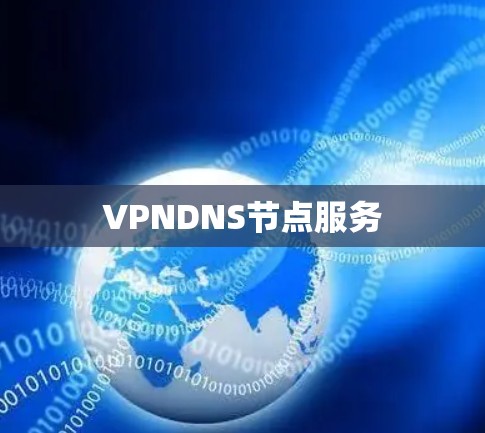 VPNDNS节点服务