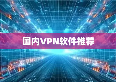 国内VPN软件推荐
