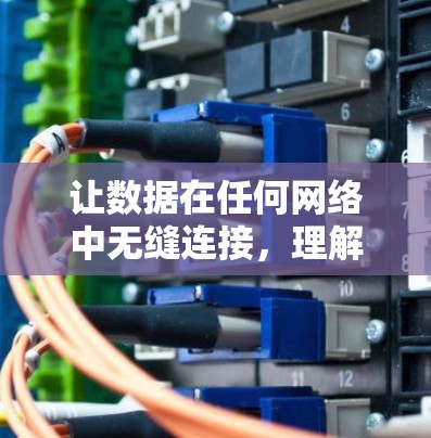让数据在任何网络中无缝连接，理解VLESS的通信技巧