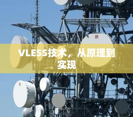 VLESS技术,从原理到实现 VLESS技术,从原理到实现