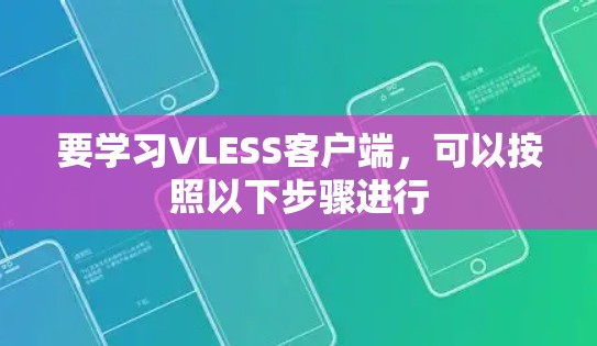 要学习VLESS客户端，可以按照以下步骤进行