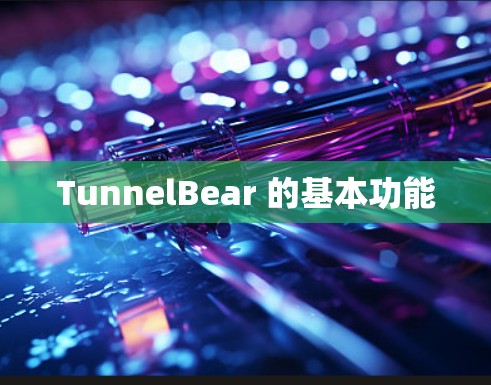 TunnelBear 的基本功能