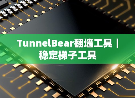 TunnelBear翻墙工具|稳定梯子工具 TunnelBear翻墙工具|稳定梯子工具