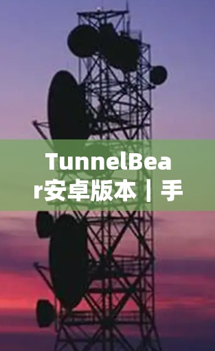 TunnelBear安卓版本|手机VPN连接教程 TunnelBear安卓版本|手机VPN连接教程