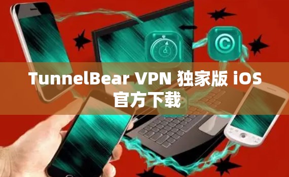 TunnelBear VPN 独家版 iOS 官方下载