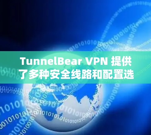 TunnelBear VPN 提供了多种安全线路和配置选项，以帮助用户保护个人数据和隐私。以下是根据你的需求推荐的几种安全线路