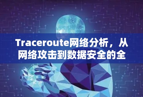 Traceroute网络分析,从网络攻击到数据安全的全面评估 Traceroute网络分析,从网络攻击到数据安全的全面评估