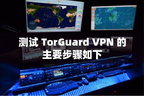 测试 TorGuard VPN 的主要步骤如下 测试 TorGuard VPN 的主要步骤如下