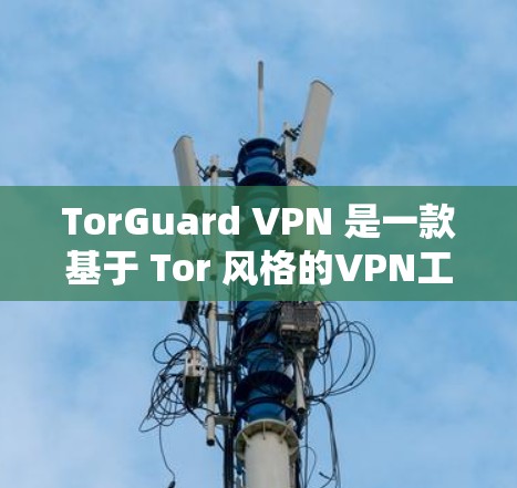 TorGuard VPN 是一款基于 Tor 风格的VPN工具,它旨在提供一个安全、可靠和易于使用的网络连接体验。以下是对 TorGuard VPN 稳定网络体验的详细介绍 TorGuard VPN 是一款基于 Tor 风格的VPN工具,它旨在提供一个安全、可靠和易于使用的网络连接体验。以下是对 TorGuard VPN 稳定网络体验的详细介绍