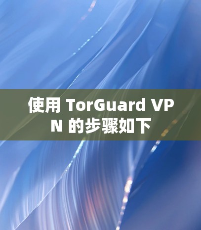 使用 TorGuard VPN 的步骤如下 使用 TorGuard VPN 的步骤如下
