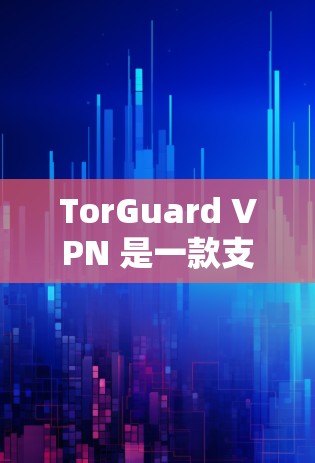 TorGuard VPN 是一款支持 Tor 服务的VPN客户端,适合喜欢 Tor 领域的用户使用。以下是 TorGuard 的推荐,以及一些替代方案的建议 TorGuard VPN 是一款支持 Tor 服务的VPN客户端,适合喜欢 Tor 领域的用户使用。以下是 TorGuard 的推荐,以及一些替代方案的建议