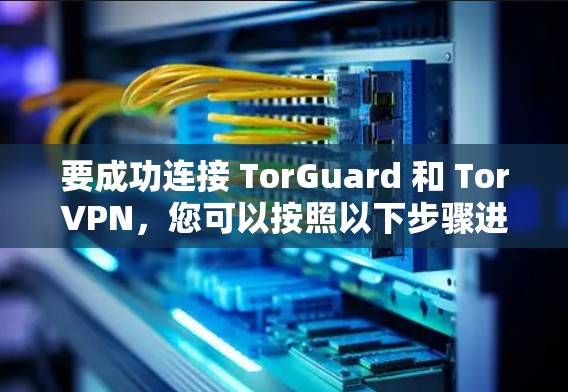 要成功连接 TorGuard 和 TorVPN，您可以按照以下步骤进行