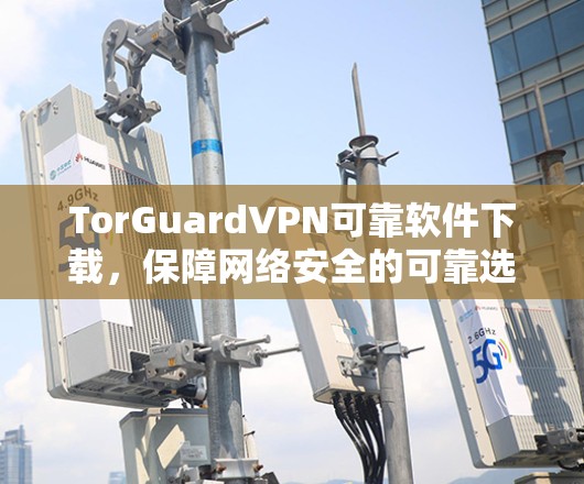 TorGuardVPN可靠软件下载，保障网络安全的可靠选择