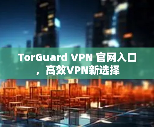 TorGuard VPN 官网入口，高效VPN新选择