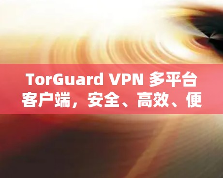 TorGuard VPN 多平台客户端,安全、高效、便捷的网络传输解决方案 TorGuard VPN 多平台客户端,安全、高效、便捷的网络传输解决方案