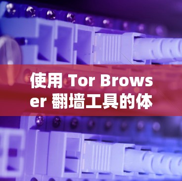 使用 Tor Browser 翻墙工具的体验可以分为以下几个方面