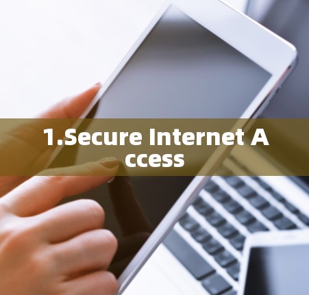 1.Secure Internet Access 1.Secure Internet Access