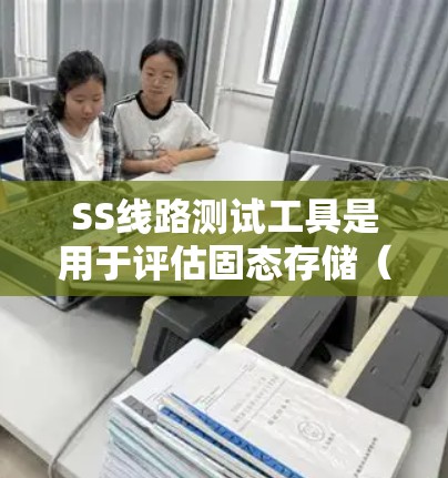 SS线路测试工具是用于评估固态存储（SSD）或固态硬盘（SSD）性能和稳定性的工具。以下是对SS线路测试工具的详细介绍