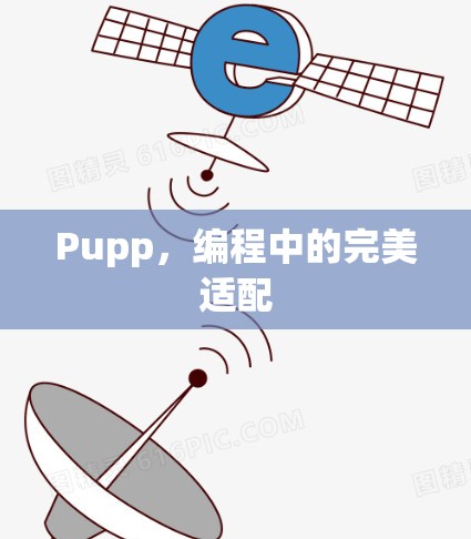 Pupp，编程中的完美适配