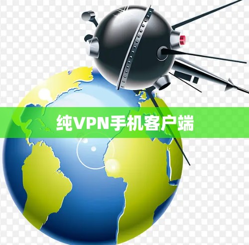 纯VPN手机客户端 纯VPN手机客户端