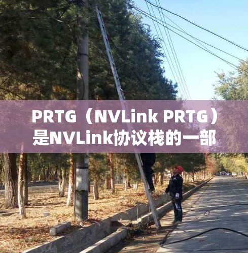 PRTG（NVLink PRTG）是NVLink协议栈的一部分，用于加速网络通信，提升带宽和稳定性。以下是PRTG配置的详细步骤