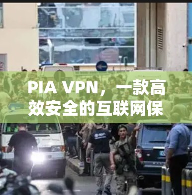 PIA VPN，一款高效安全的互联网保护工具