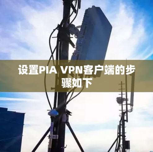 设置PIA VPN客户端的步骤如下
