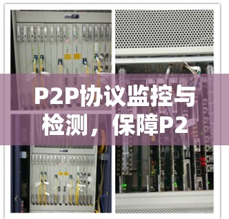 P2P协议监控与检测，保障P2P网络安全与健康
