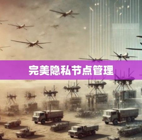 完美隐私节点管理
