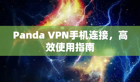 Panda VPN手机连接，高效使用指南