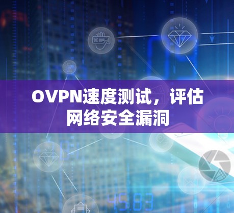 OVPN速度测试，评估网络安全漏洞