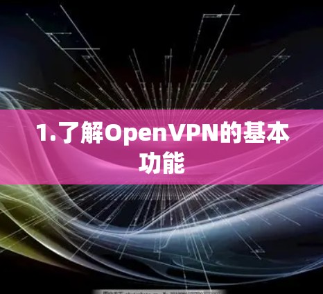 1.了解OpenVPN的基本功能 1.了解OpenVPN的基本功能